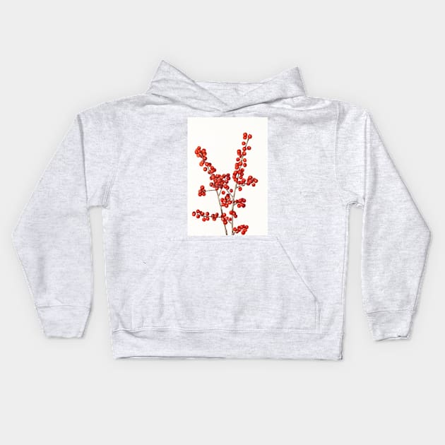 Winterberry - Botanical Illustration Kids Hoodie by chimakingthings